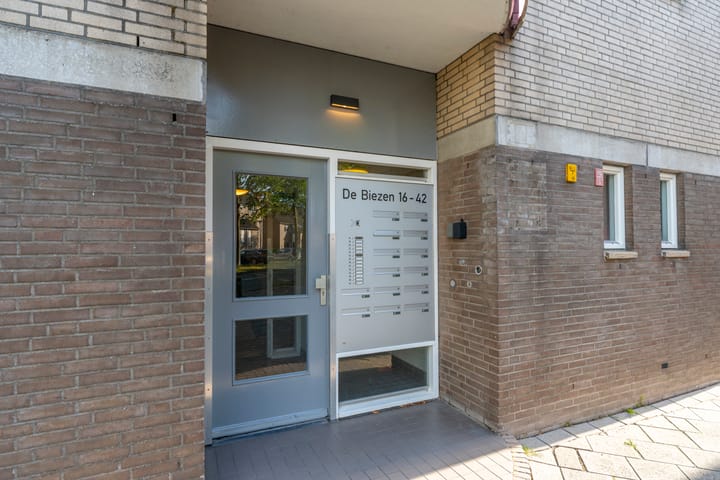 Foto 6 van de Biezen 42