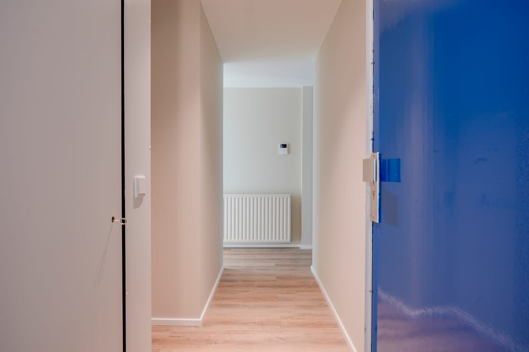 Foto 8 van de Biezen 42