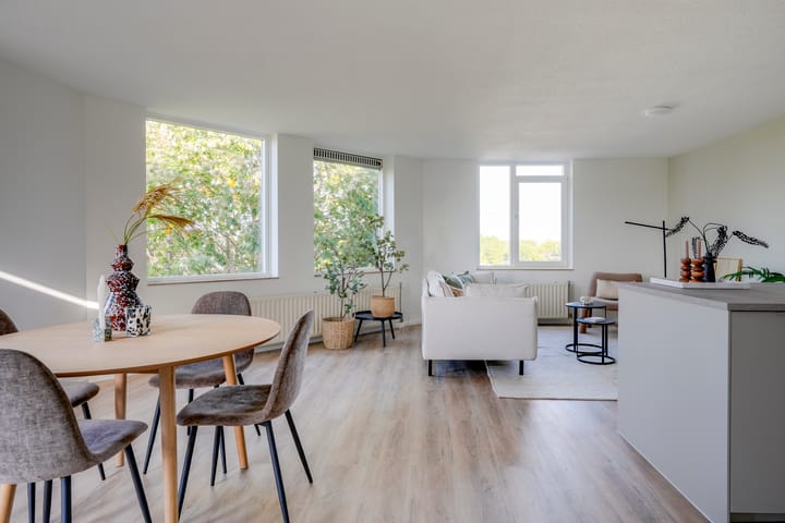 Foto 9 van de Biezen 42