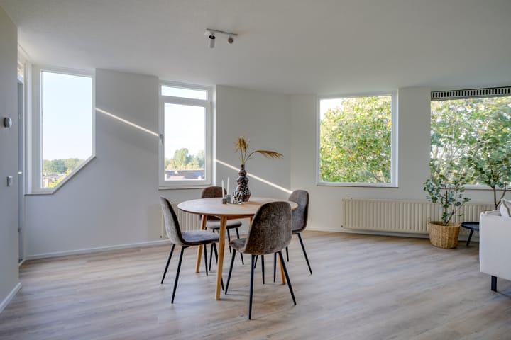 Foto 10 van de Biezen 42