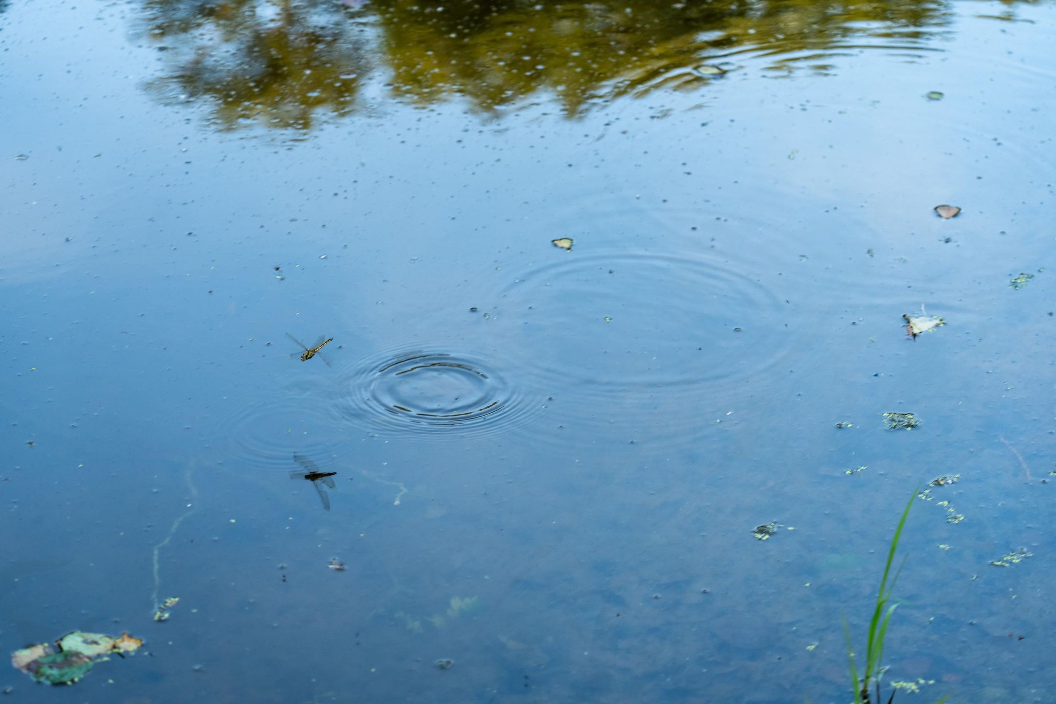 Foto 45 van Landhuis op NSW Landgoed (Bouwnr. Kavel A)