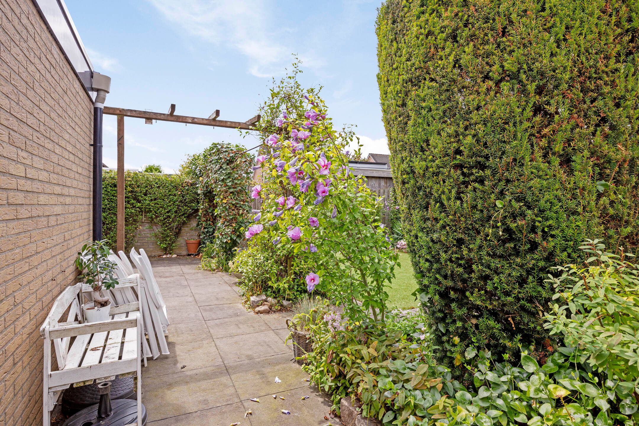 Foto 30 van Terborchstraat 11