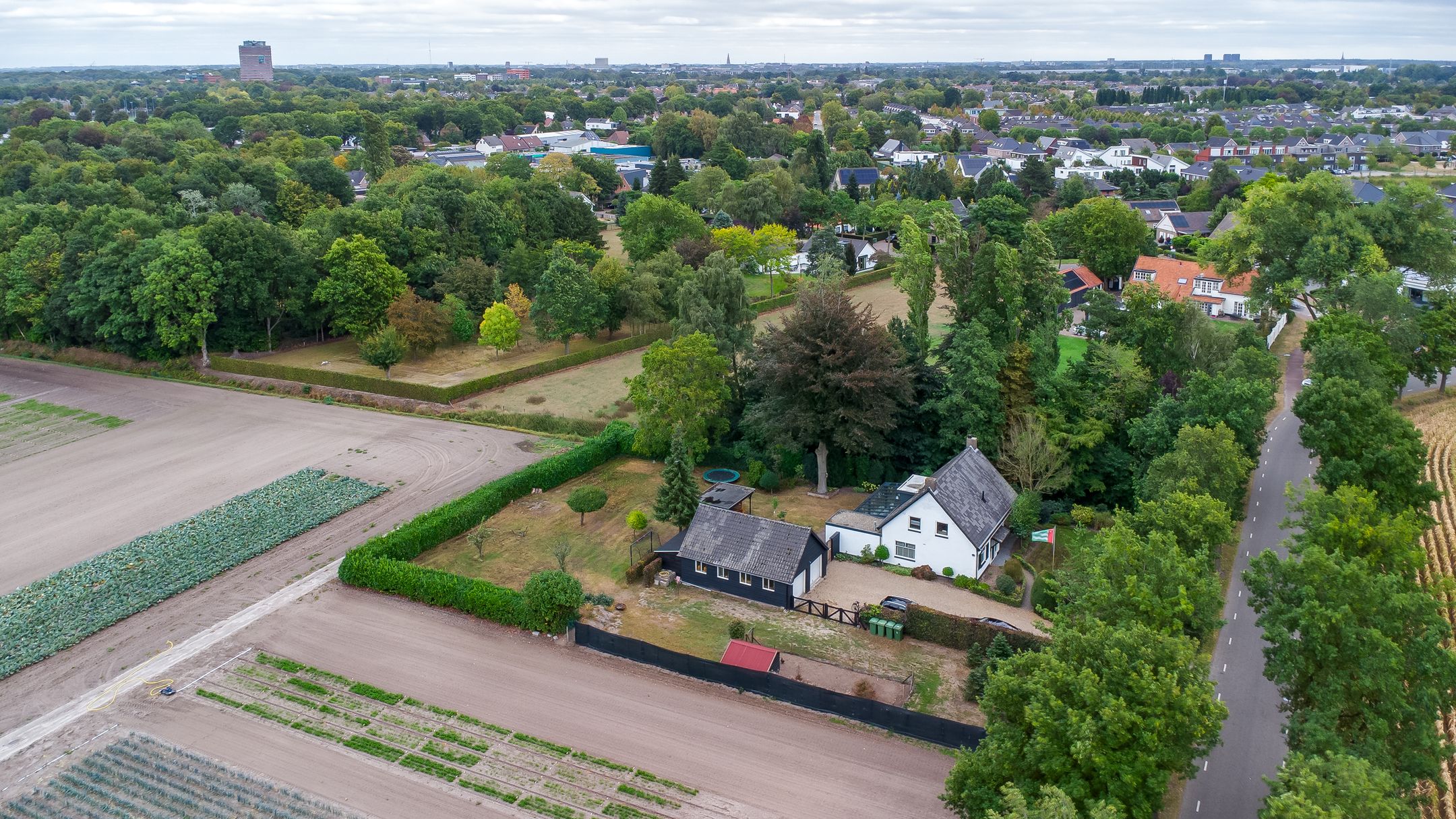 Foto 3 van Overveldsestraat 4