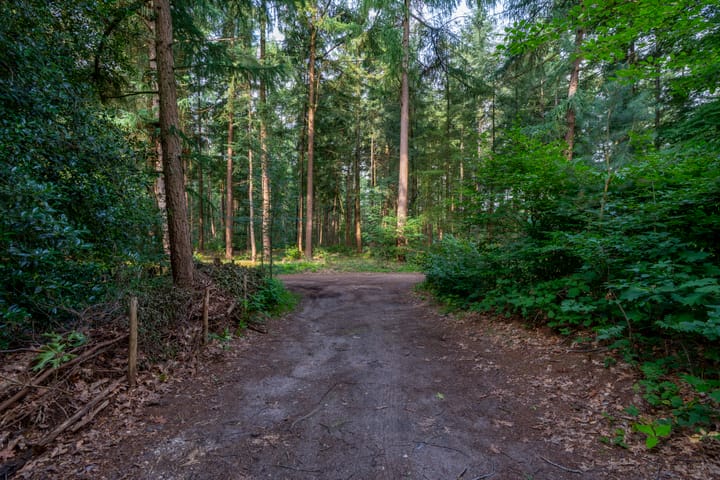 Foto 4 van Stameren 16