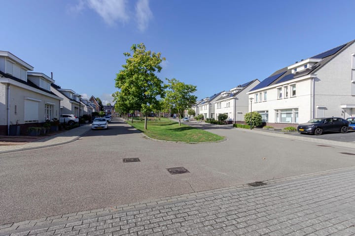 Foto 45 van Johan Hoenplantsoen 17