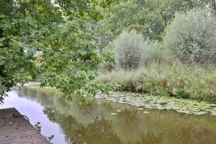 Foto 38 van Park Zomerlust 10