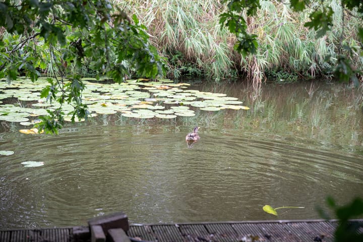 Foto 39 van Park Zomerlust 10