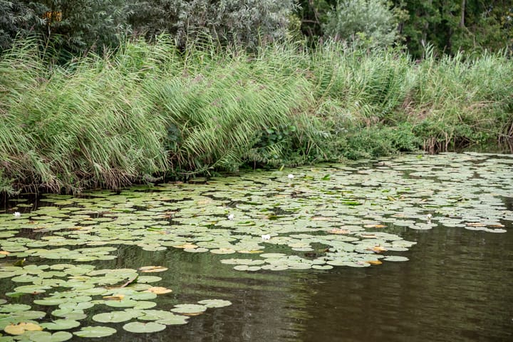 Foto 40 van Park Zomerlust 10