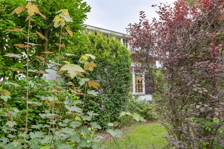 Foto 41 van Park Zomerlust 10