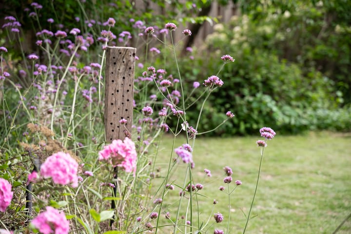 Foto 43 van Park Zomerlust 10