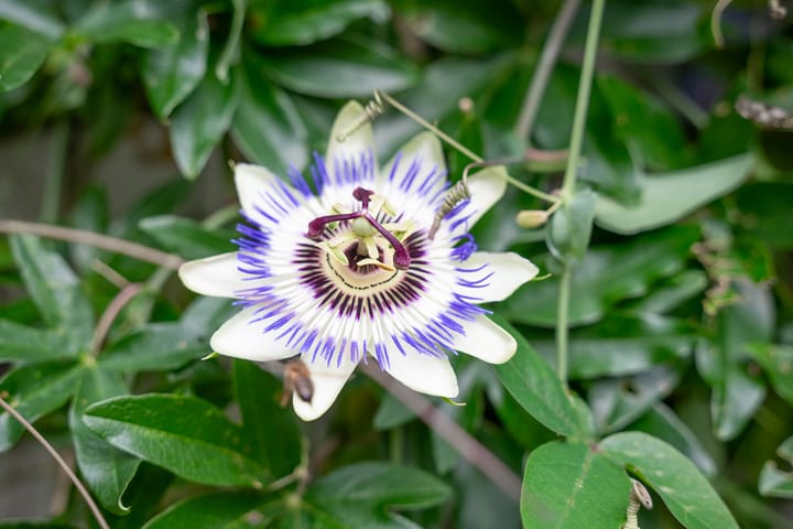 Foto 46 van Park Zomerlust 10