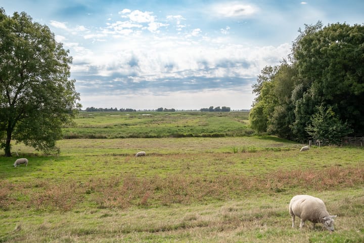 Foto 59 van Park Zomerlust 10