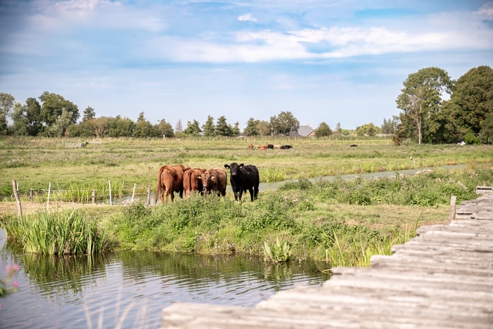 Foto 60 van Park Zomerlust 10