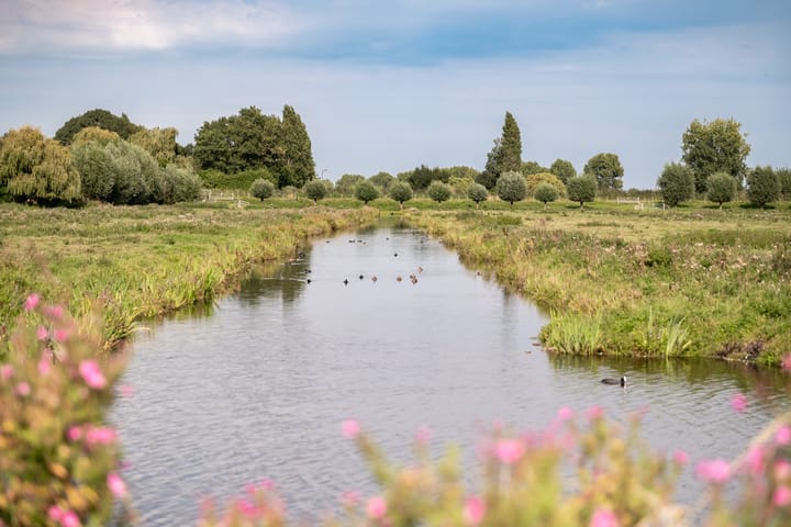 Foto 61 van Park Zomerlust 10