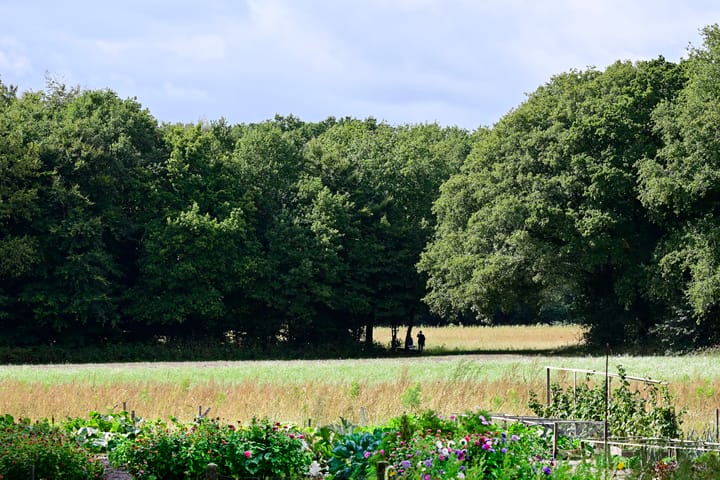 Foto 20 van Meentweg 43-A