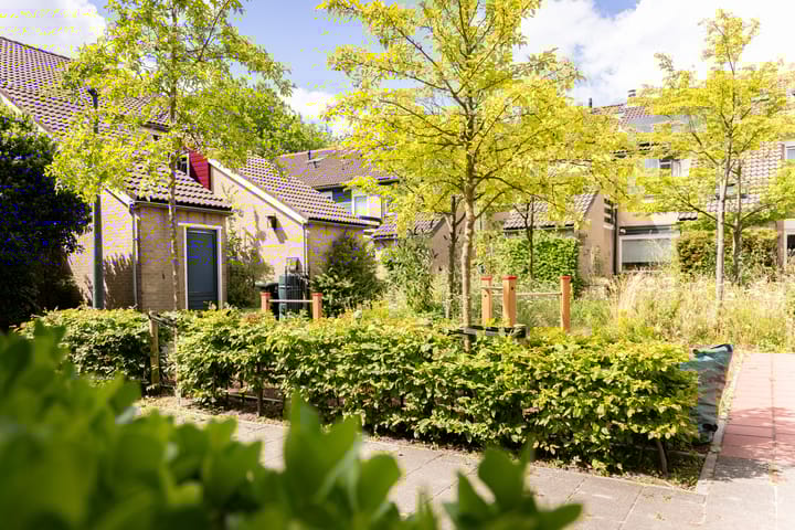 Foto 10 van Breeuwer 99