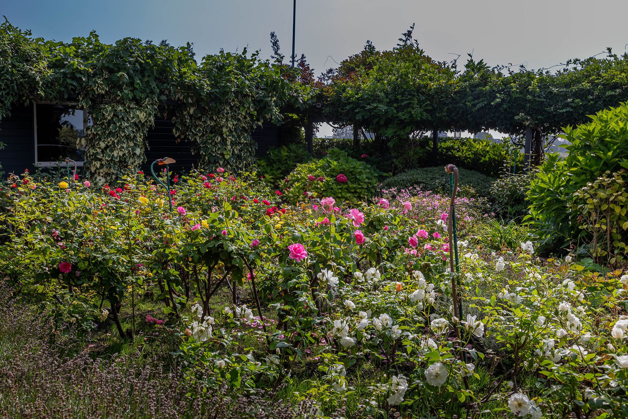 Foto 84 van Rijsdijk 8