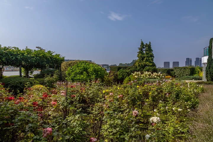 Photo 87 of Rijsdijk 8