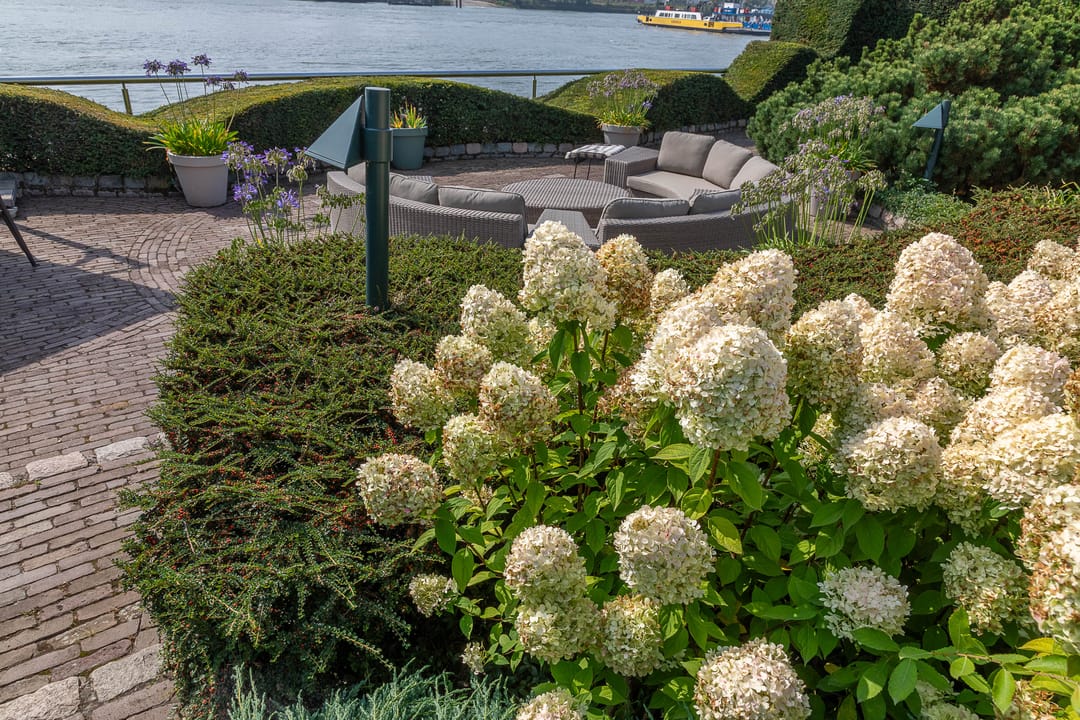 Foto 86 van Rijsdijk 8