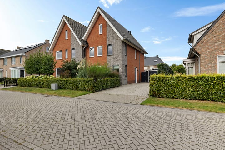 Foto 38 van Zende 36