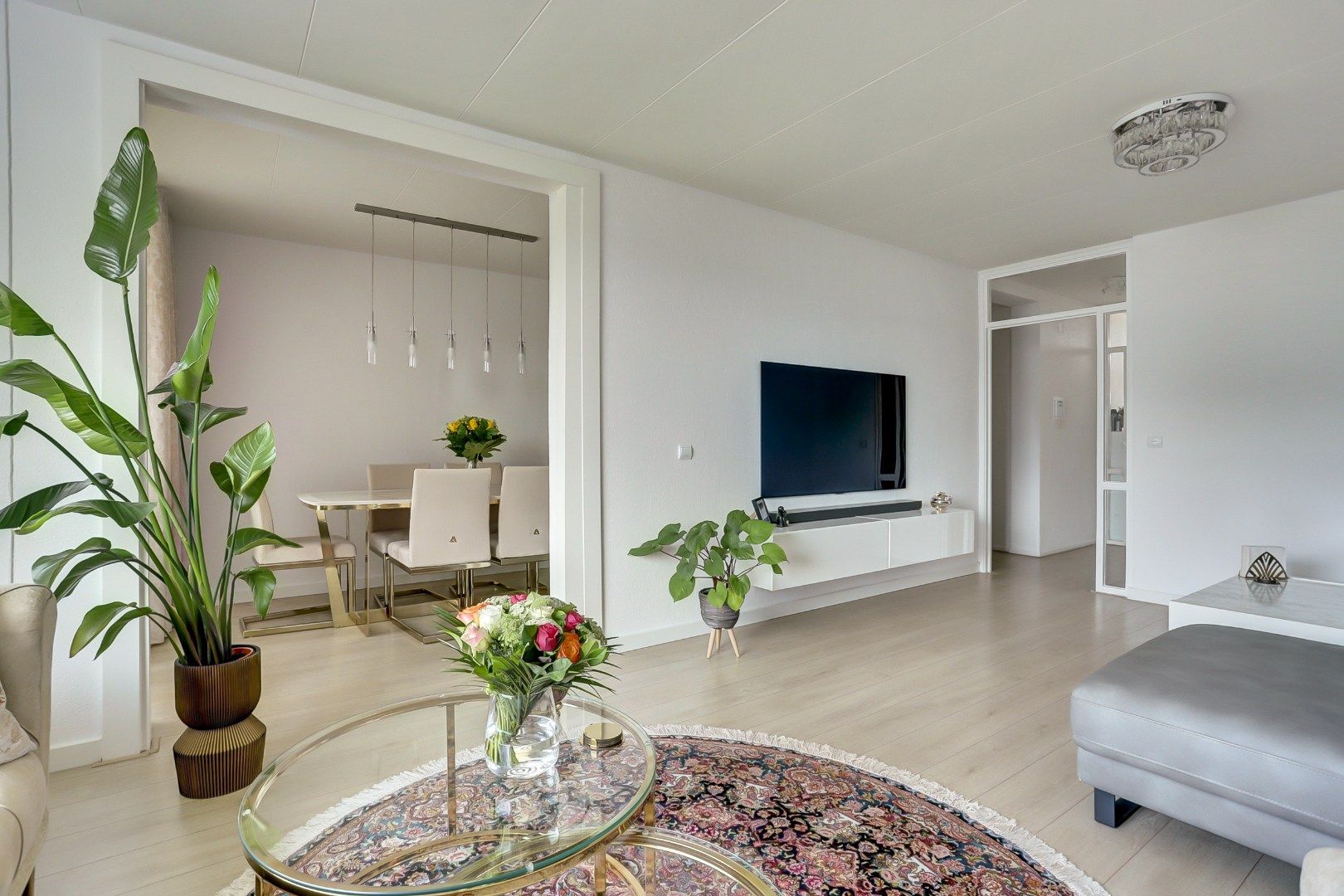 Sibeliusplein, 223, Schiedam, 3122XA, Zuid-Holland, Nederland 223