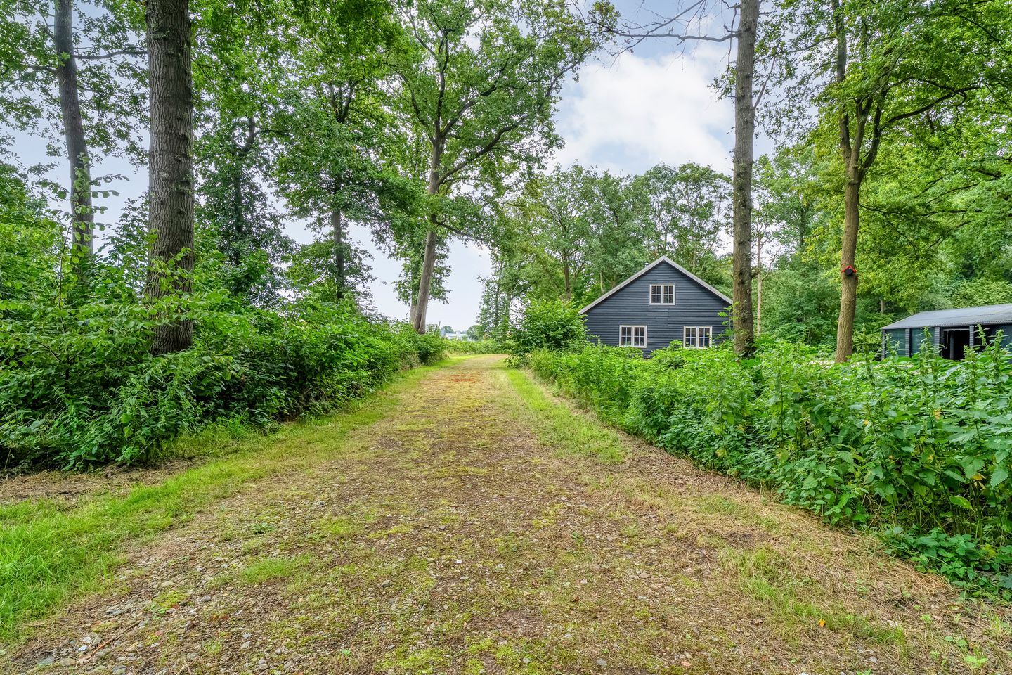 Foto 64 van Oldemeijerweg 6