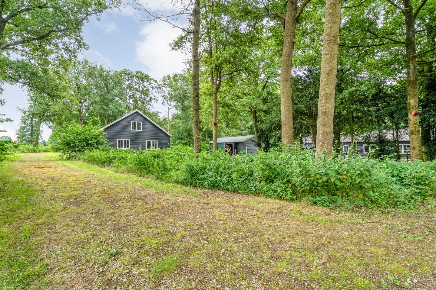 Foto 65 van Oldemeijerweg 6