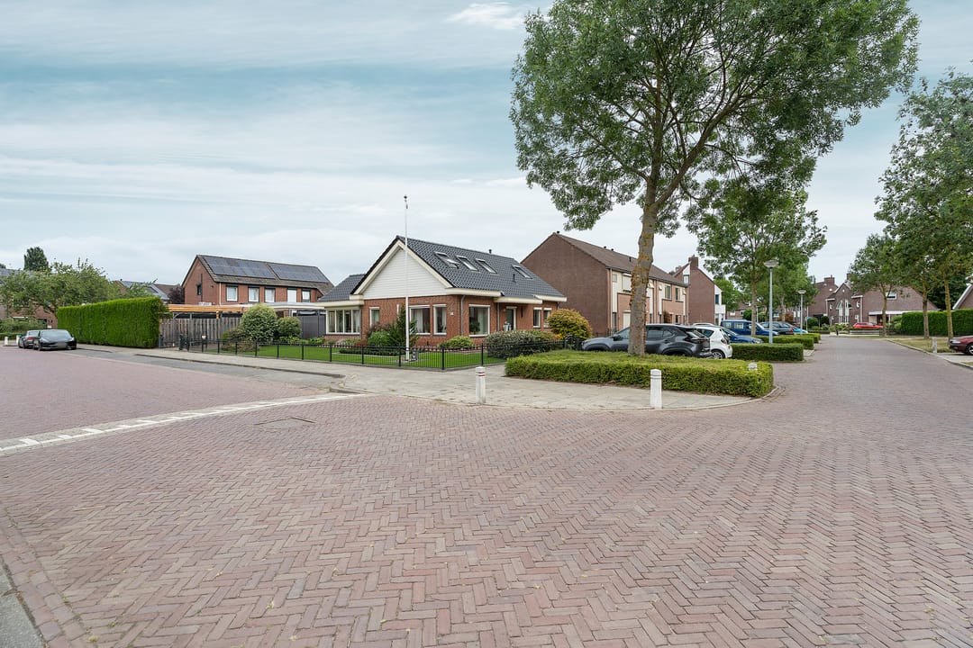 Photo 61 of Middag 67