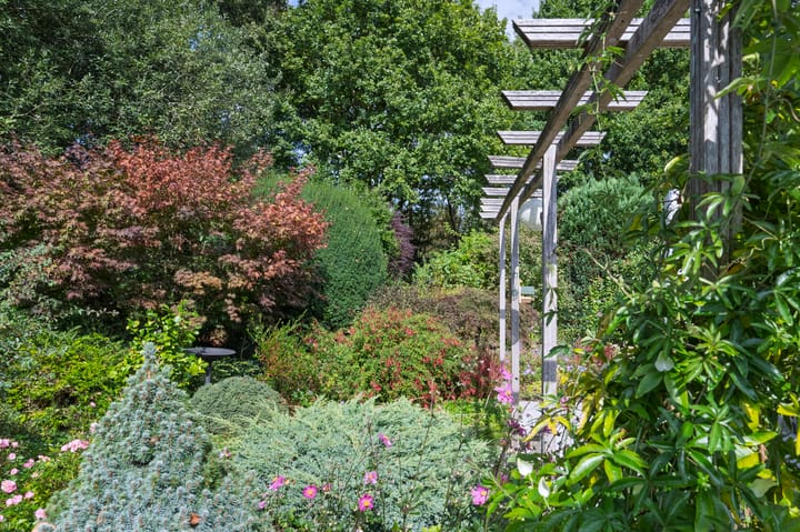 Foto 22 van Taxuslaan 39