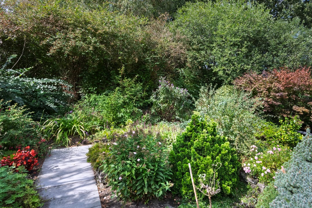 Photo 23 of Taxuslaan 39