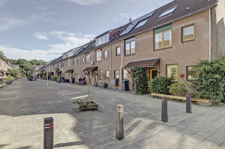 Foto 28 van Willem Gerresepad 50