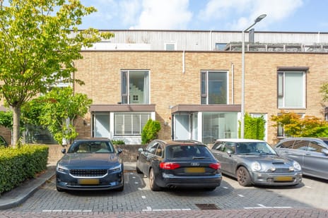 undefined main image