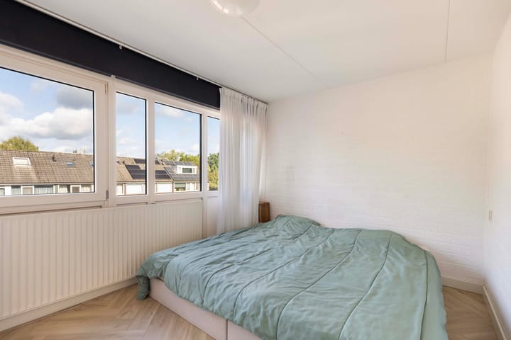 Foto 20 van Salomonszegel 137