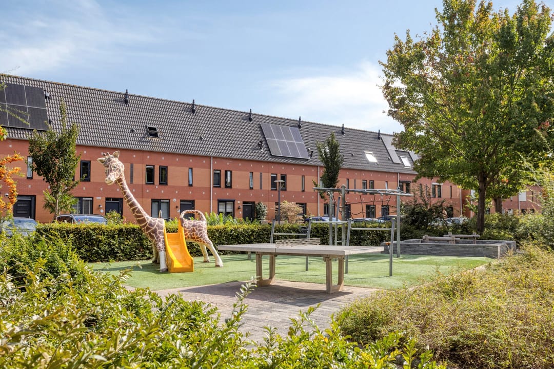 Foto 8 van Dikkertje Dap 70