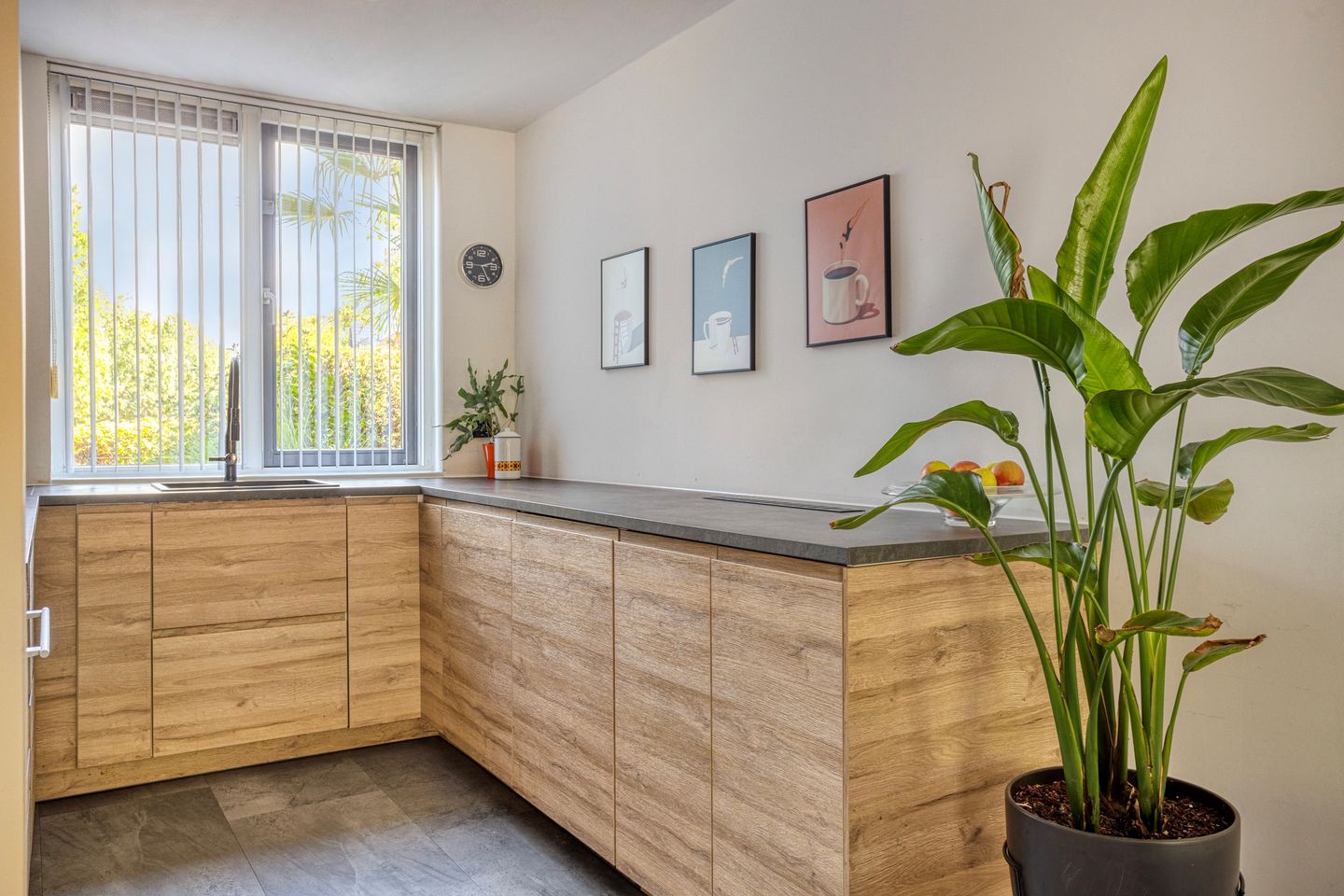 Foto 20 van Dikkertje Dap 70