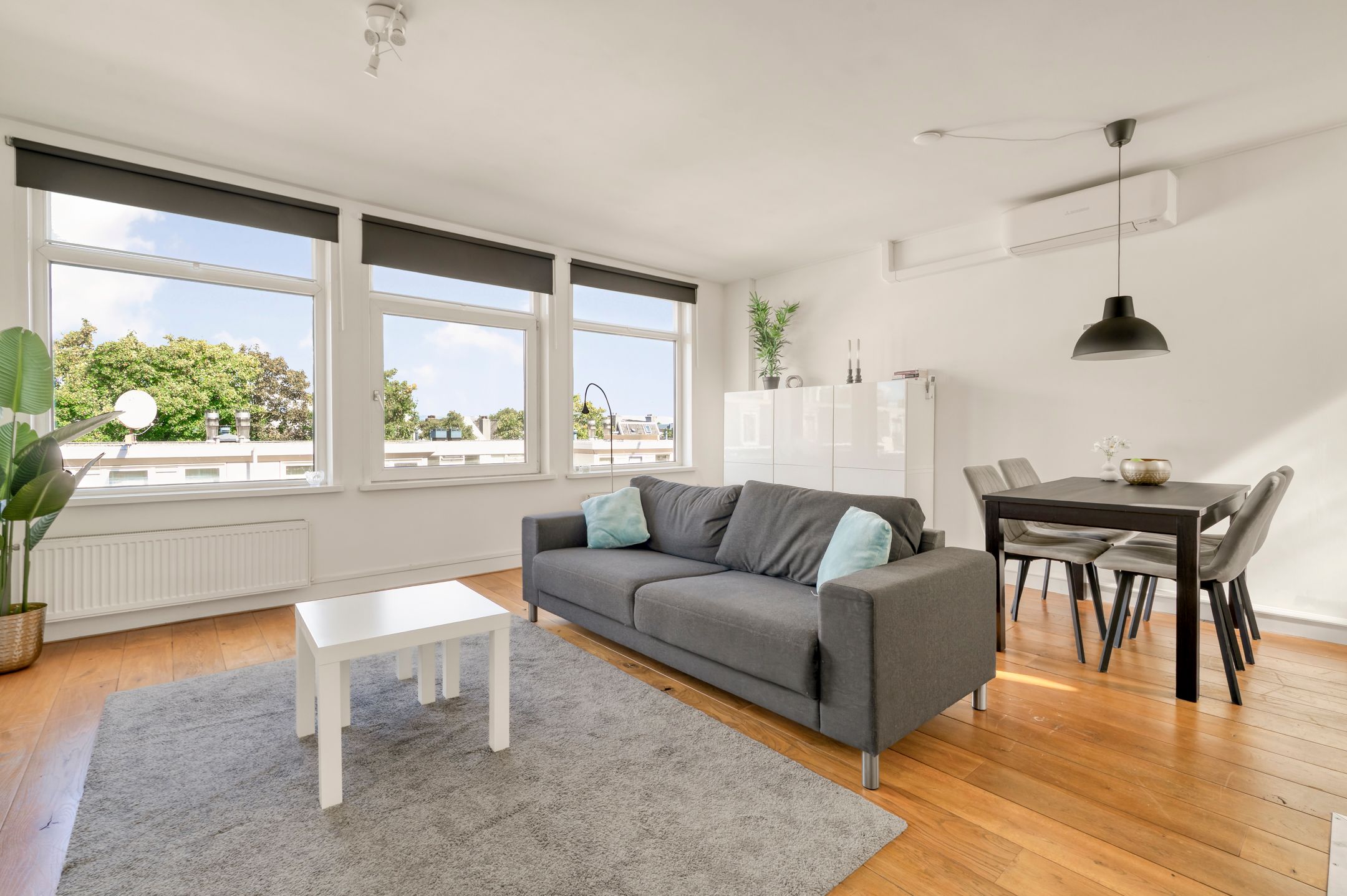 Foto 3 van Eerste Jan van der Heijdenstraat 118-4