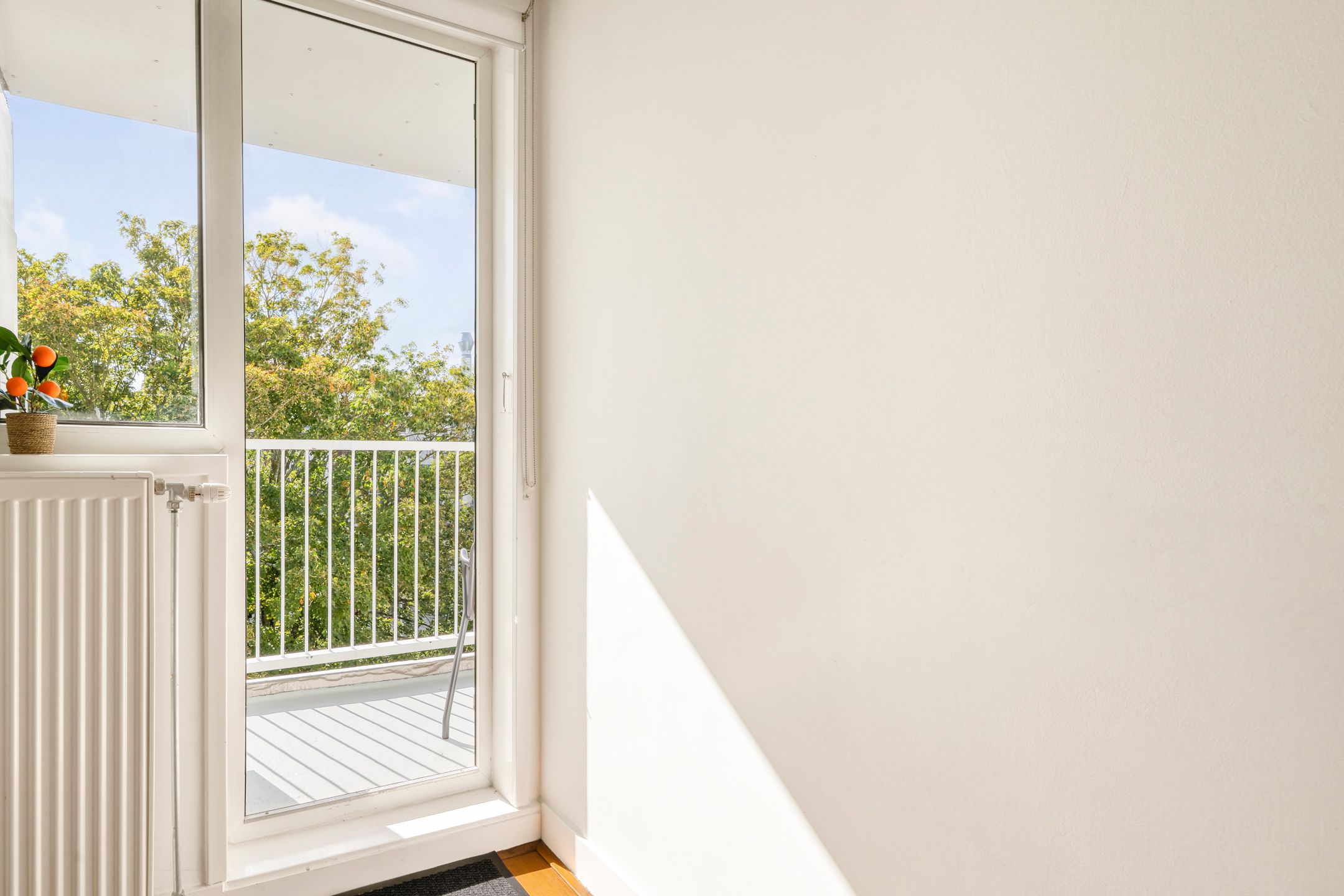 Foto 24 van Eerste Jan van der Heijdenstraat 118-4