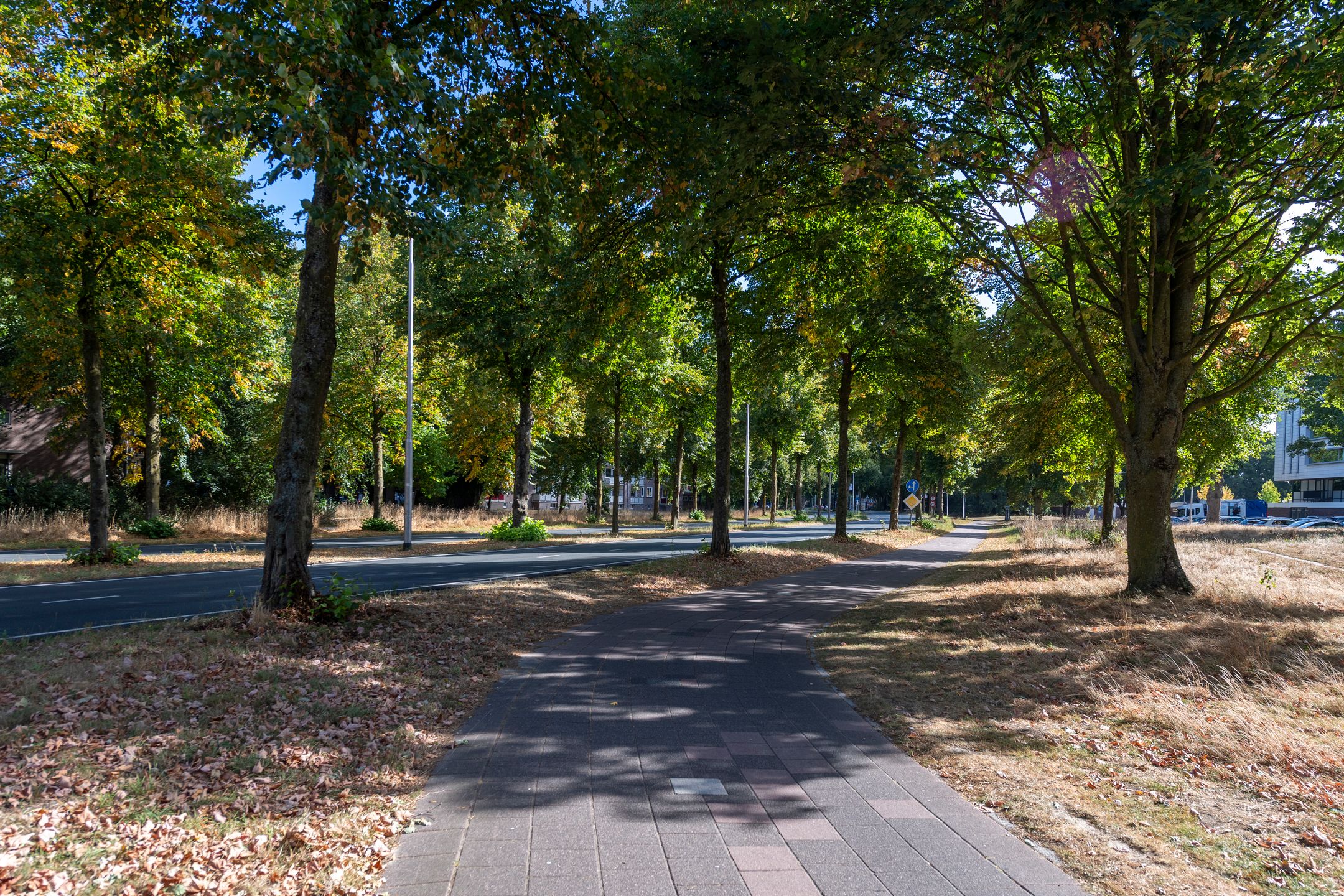 Foto 36 van Ringbaan-Zuid 260