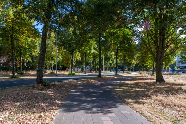 Foto 36 van Ringbaan-Zuid 260