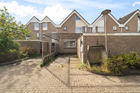 undefined main image