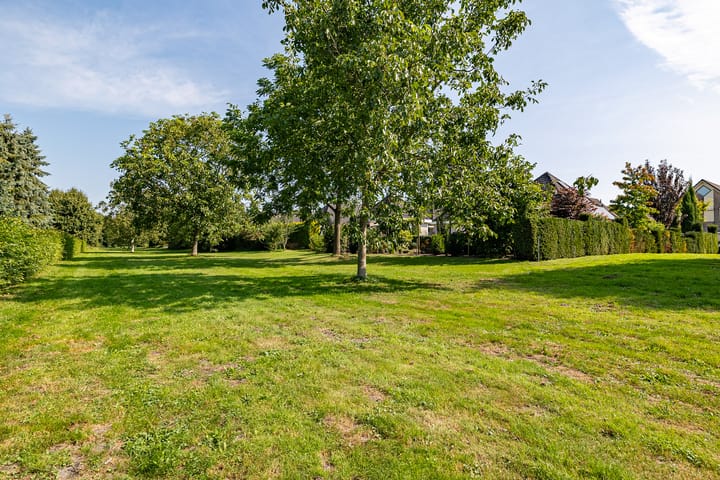 Photo 58 of Dorsstok 28