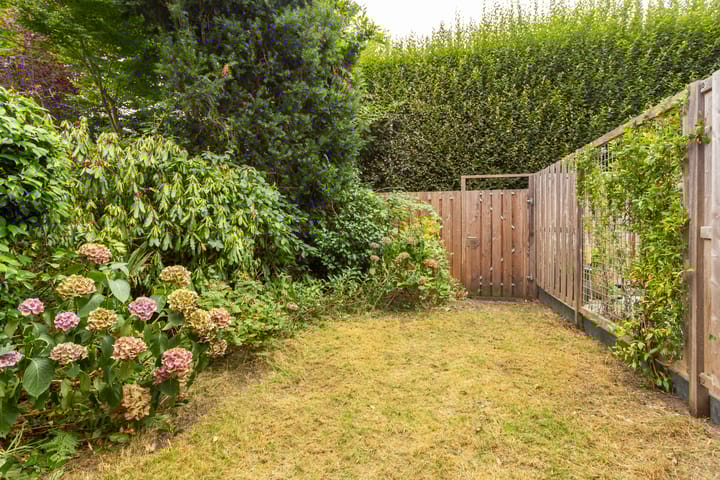 Foto 11 van Wielewaal 24