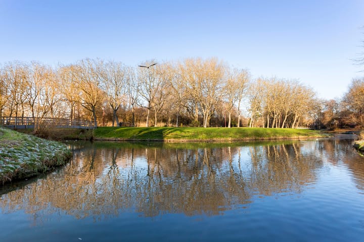 Foto 47 van Wielewaal 24