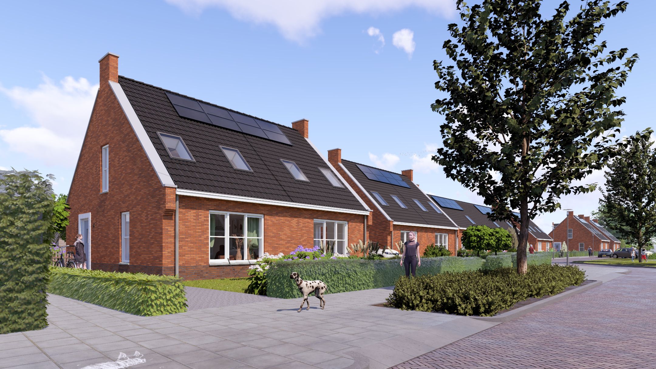 Photo 5 of Grote Drift Beilen