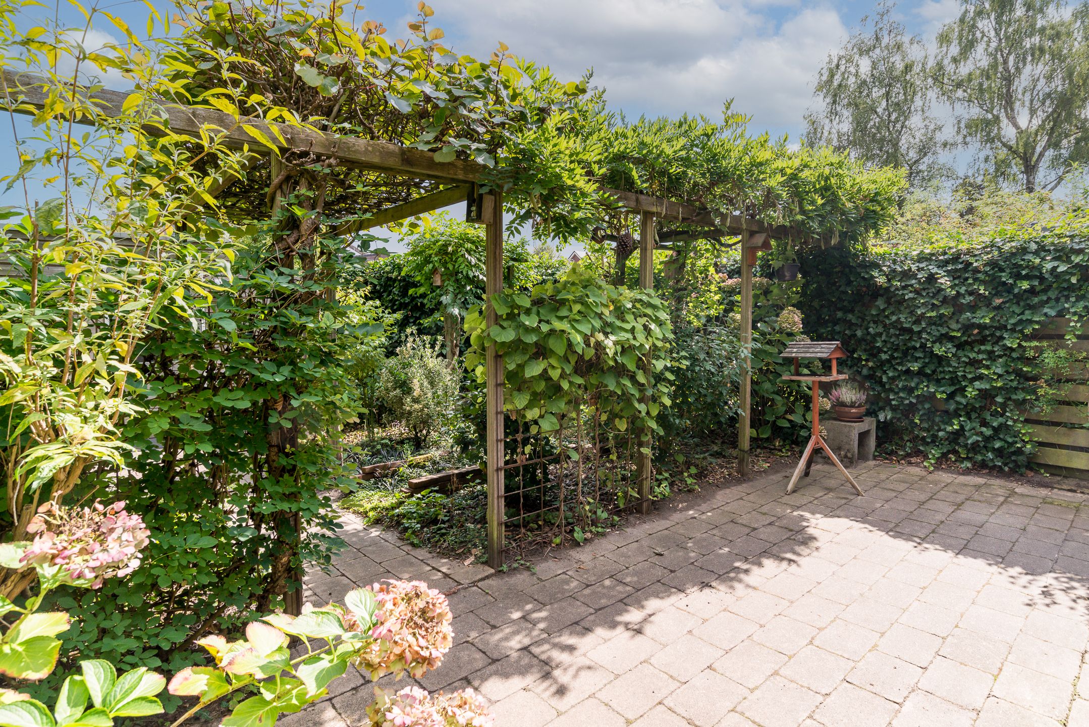 Foto 33 van Waldeckstraat 25