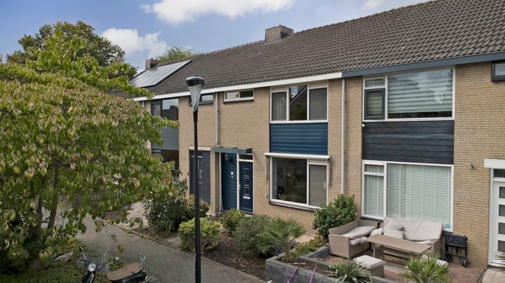 Foto 4 van Kievit 20