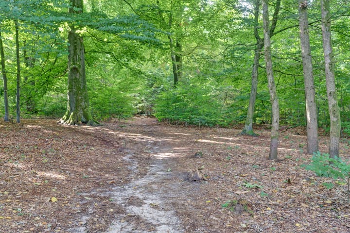 Foto 31 van Alphons Diepenbrocklaan 21