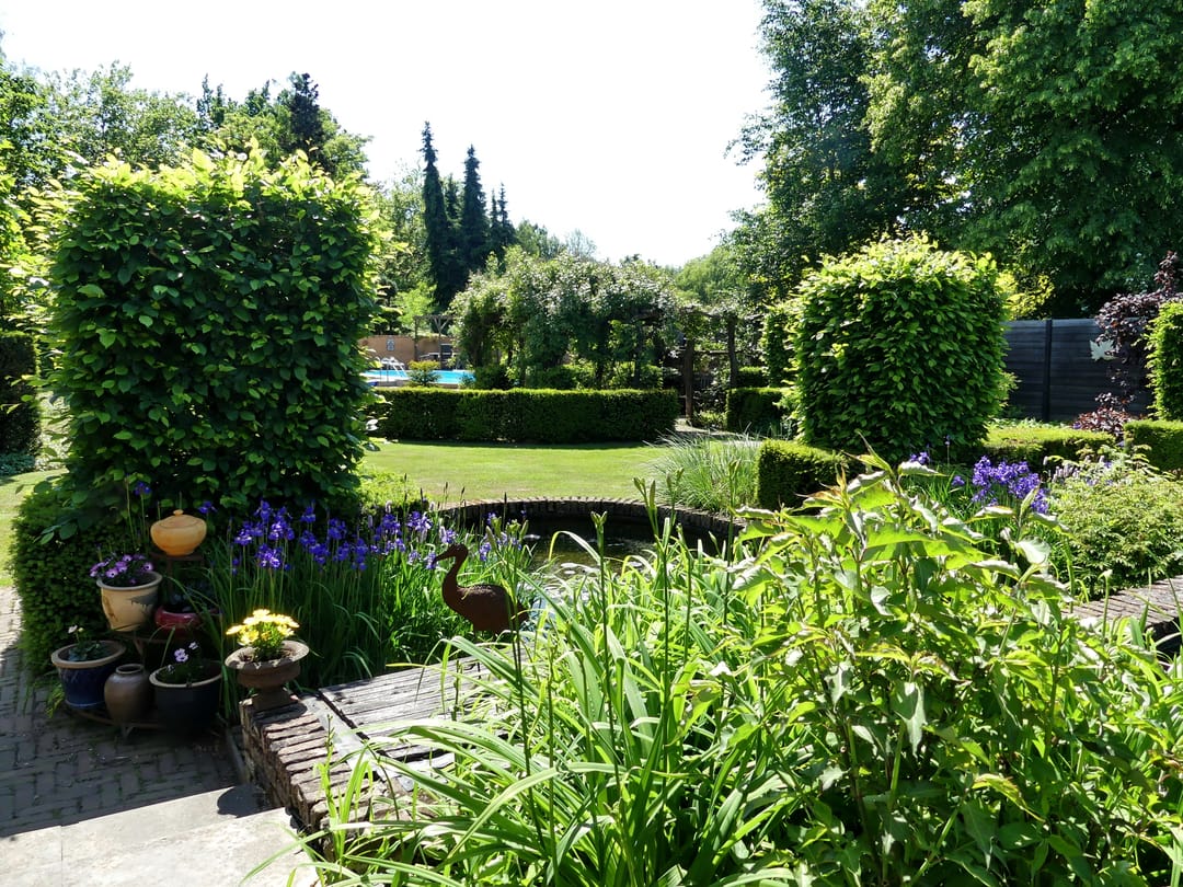 Foto 77 van Hoofdstraat 102