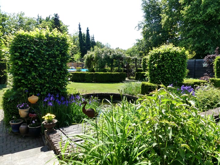 Foto 77 van Hoofdstraat 102