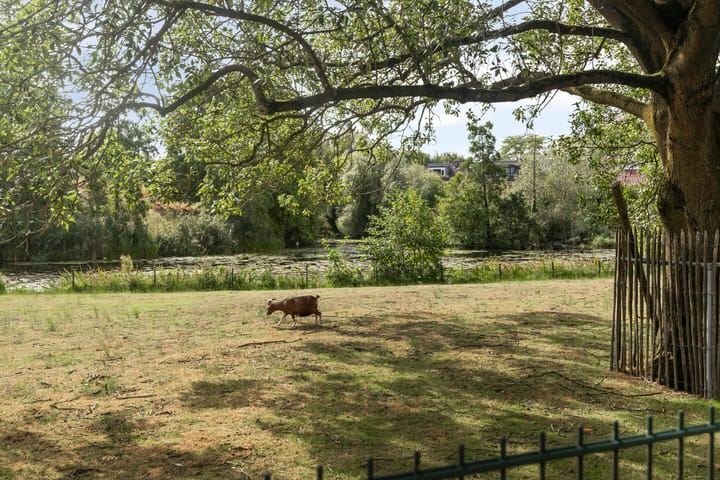 Foto 27 van Ketsheuvel 34